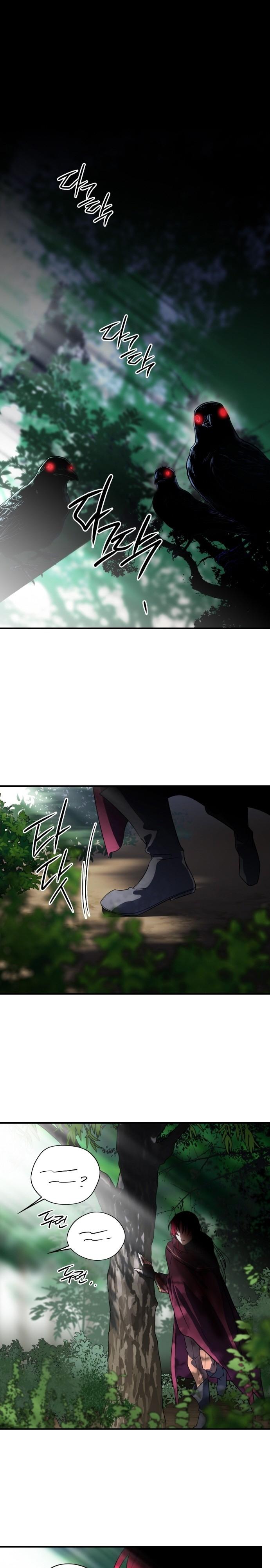 16-cm2xdfr0s0001tt82570od8ls