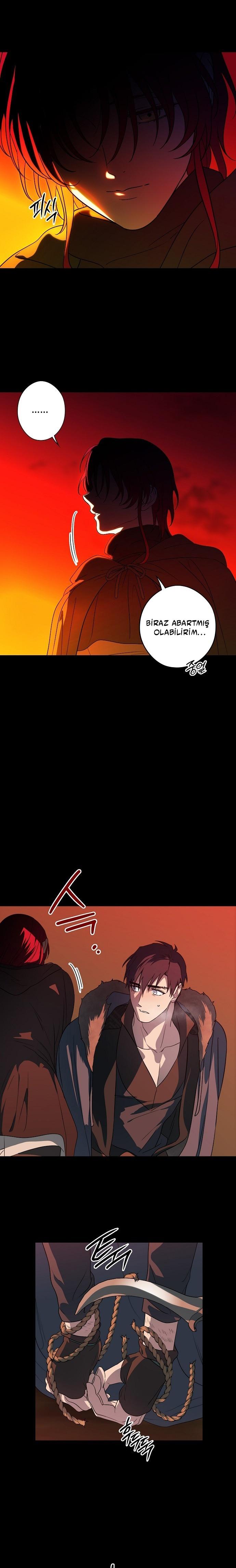 14-cmc1vvo430025phxcd4xhnki2