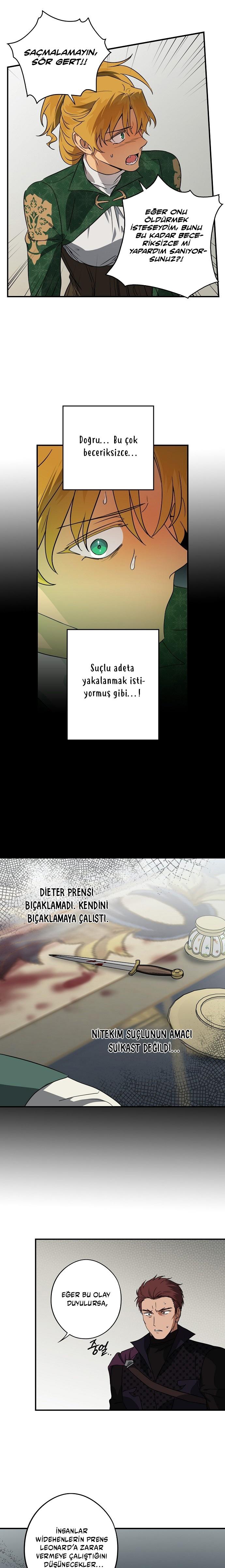 5-cmc1vvo430025phxcd4xhnki2