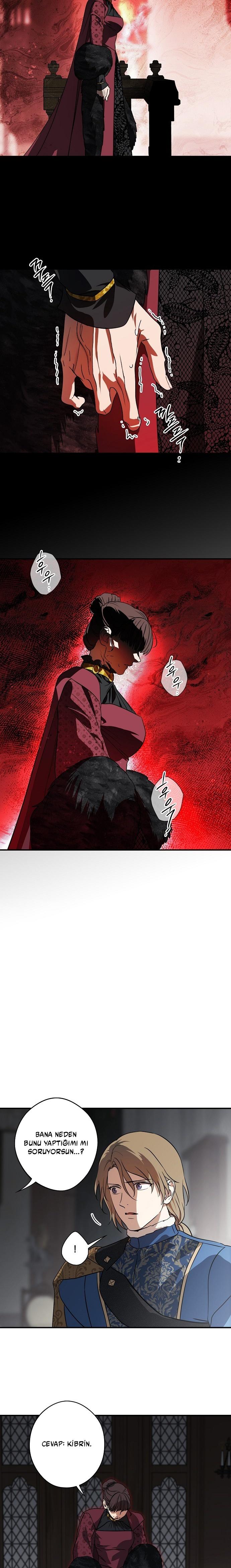 12-cmc1vvo430025phxcd4xhnki2