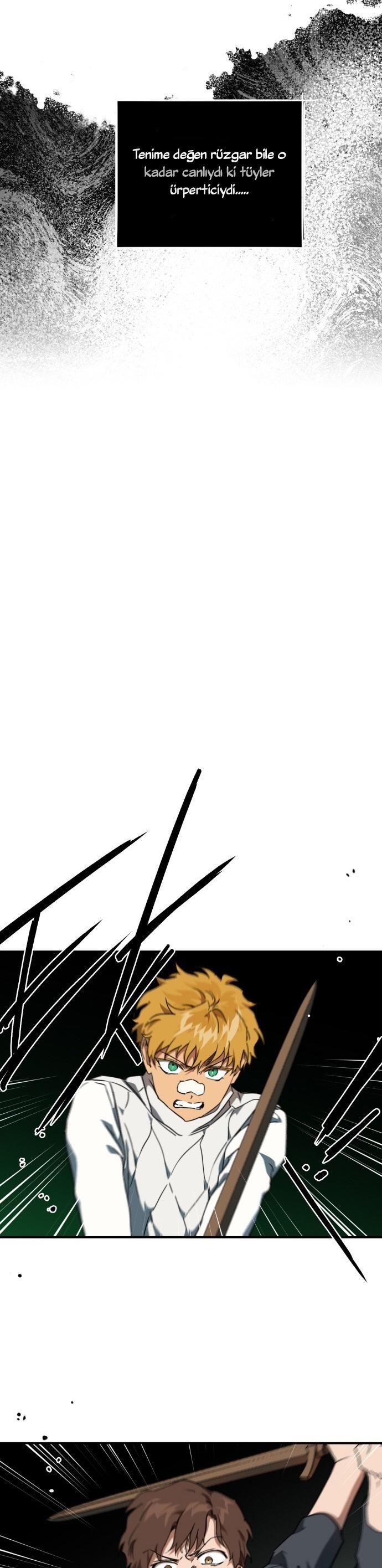 24-cm2xdfr0s0001tt82570od8ls