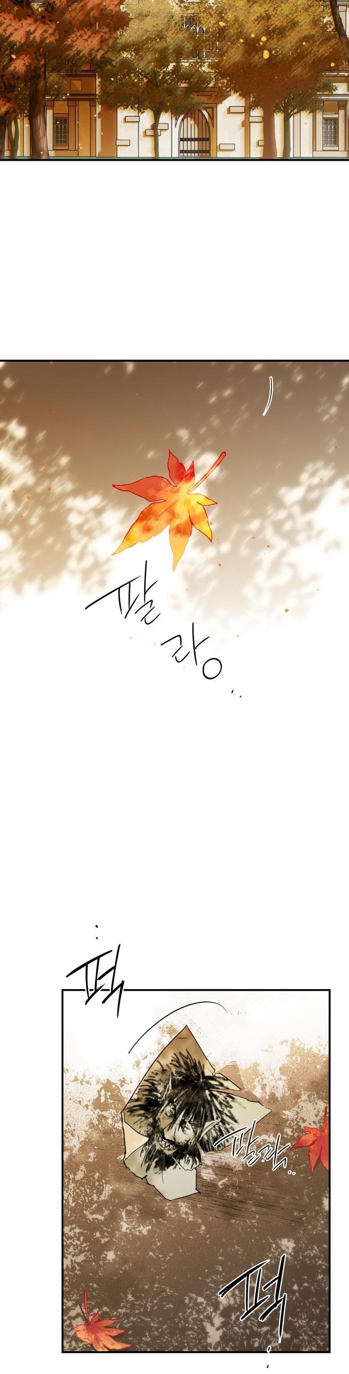 19-cm2xdfr0s0001tt82570od8ls