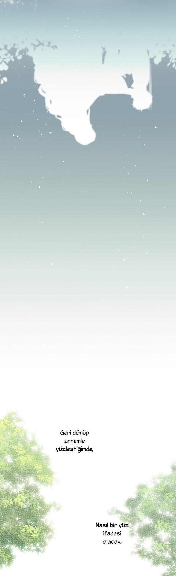 34-cm2xdfr0s0001tt82570od8ls