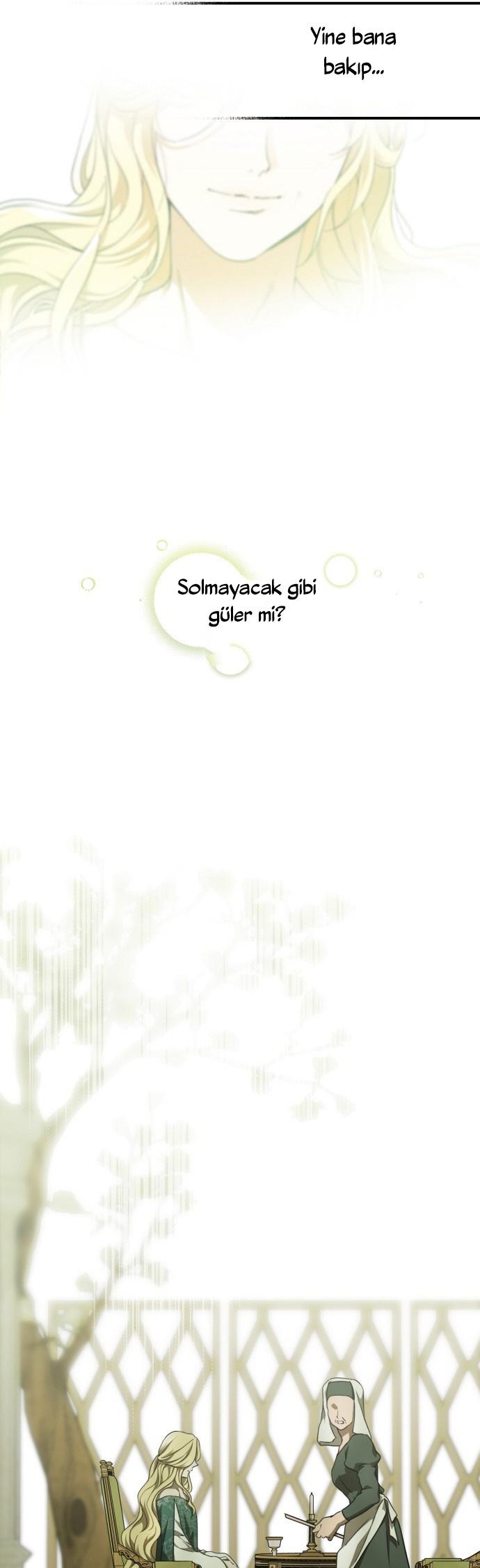 36-cm2xdfr0s0001tt82570od8ls