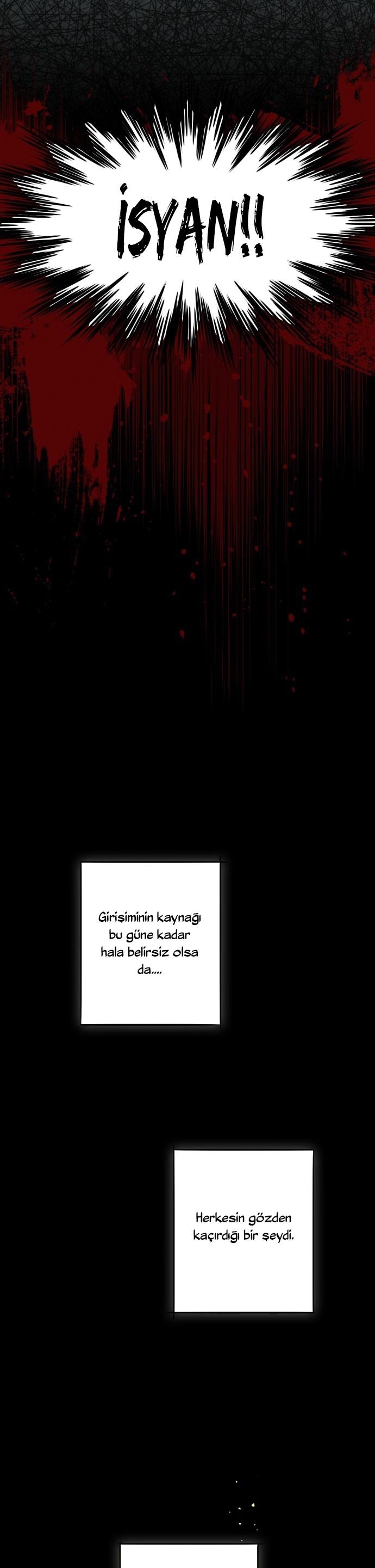 12-cm2xdfr0s0001tt82570od8ls