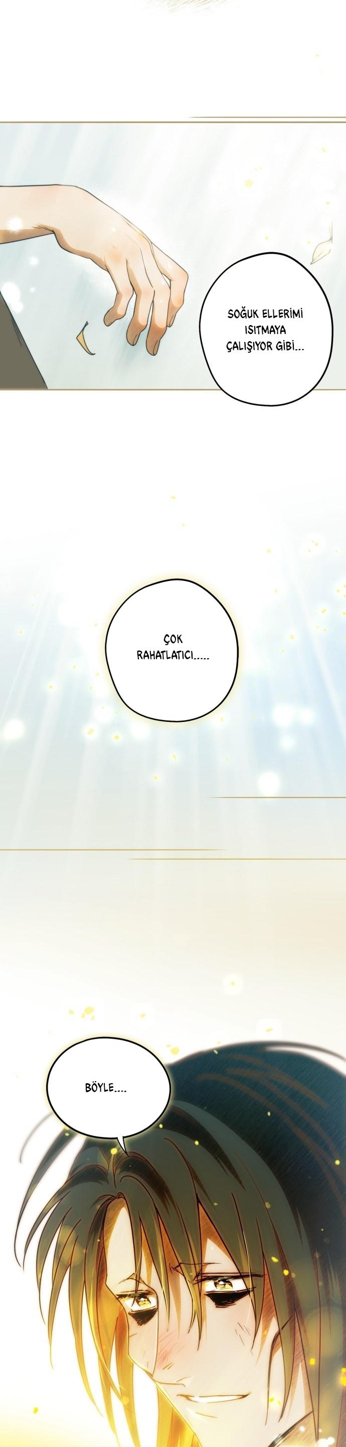 10-cm2xdfr0s0001tt82570od8ls