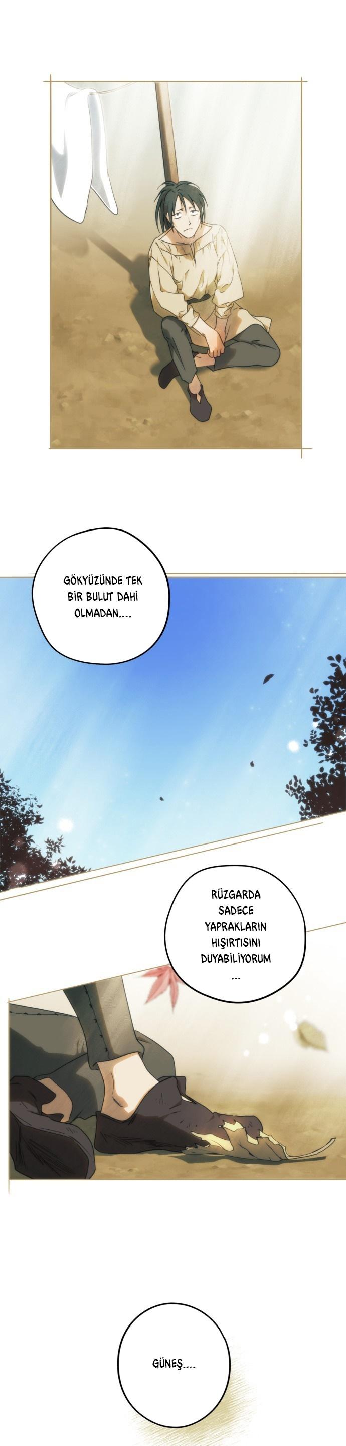9-cm2xdfr0s0001tt82570od8ls