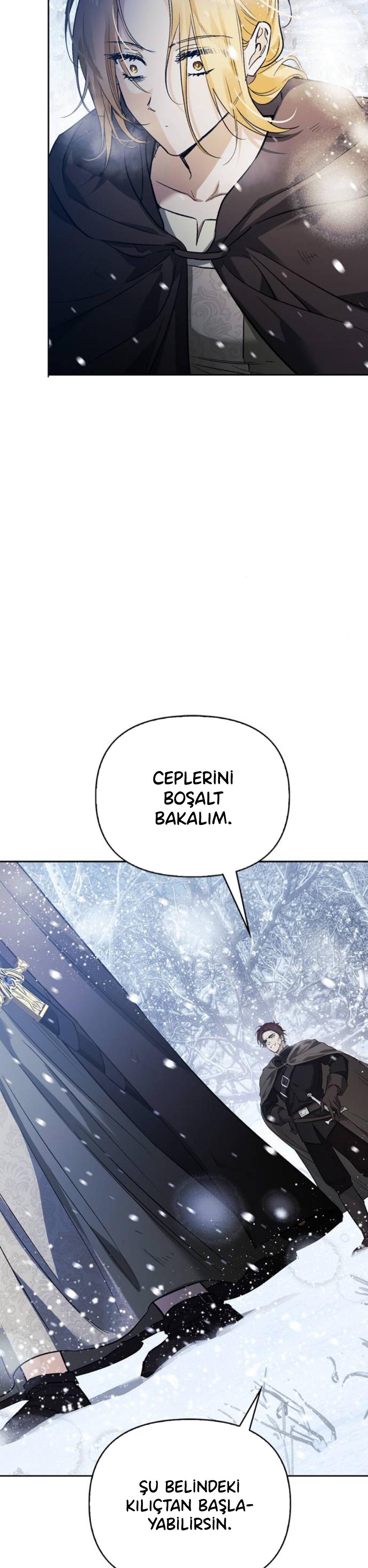 23-cmc1vvo430025phxcd4xhnki2