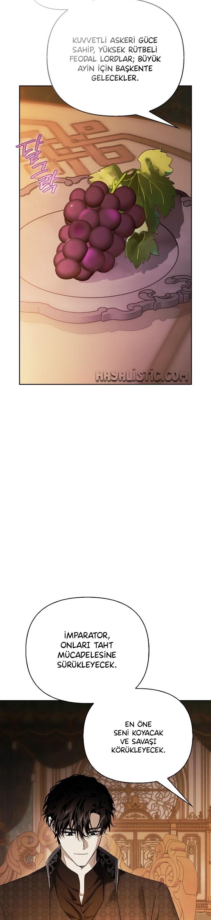 25-cmc1vvo430025phxcd4xhnki2