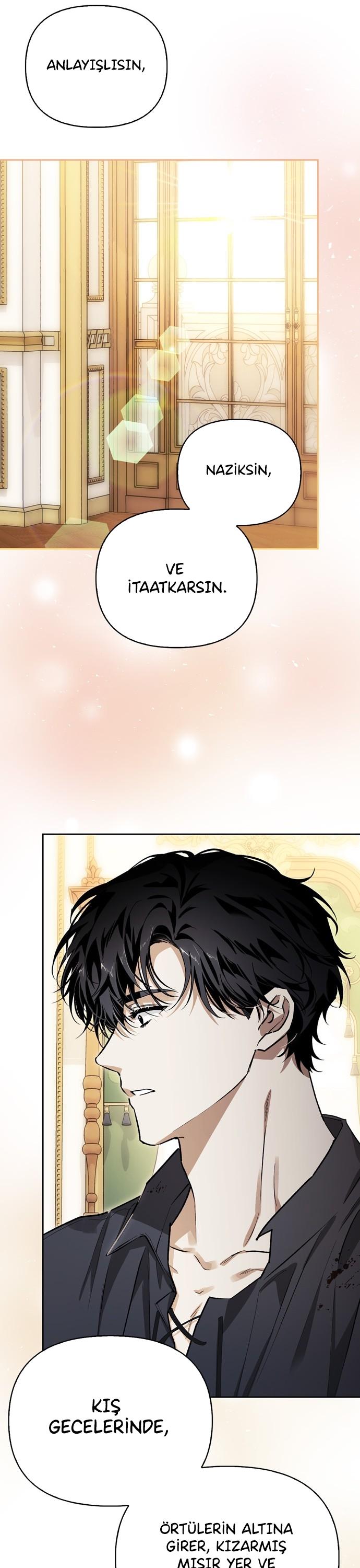 24-cmc1vvo430025phxcd4xhnki2