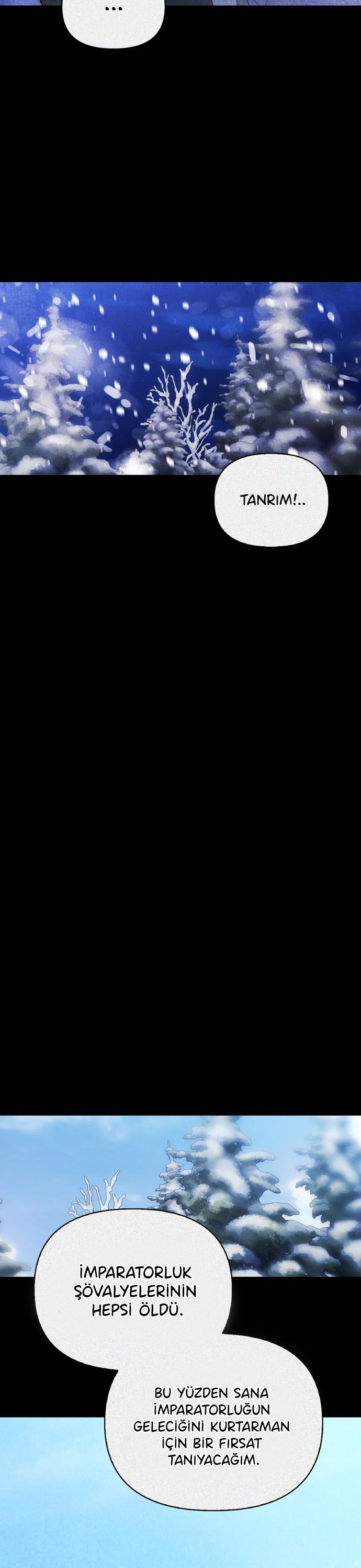 26-cmc1vvo430025phxcd4xhnki2