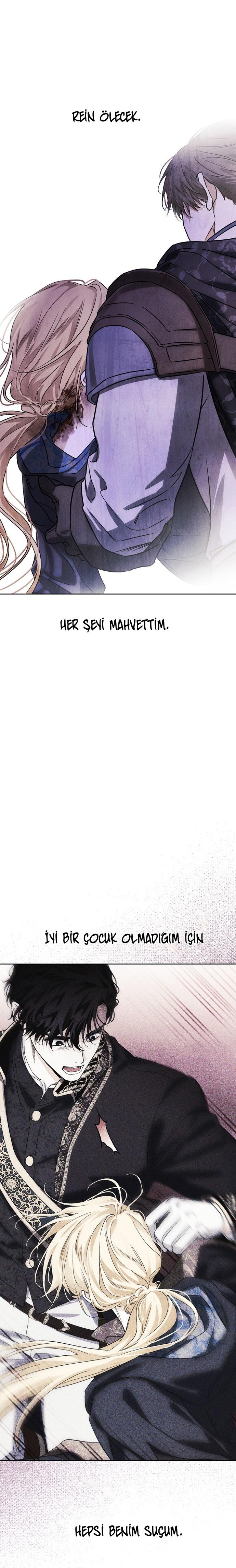 8-cmc1vvo430025phxcd4xhnki2