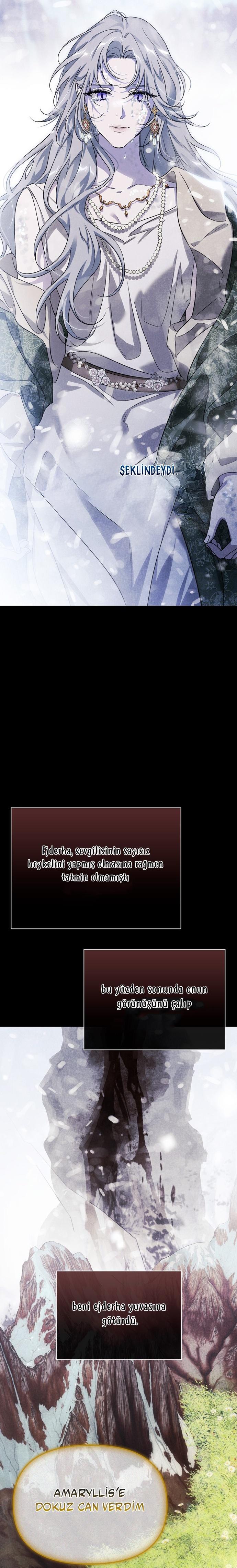 8-cmc1vvo430025phxcd4xhnki2