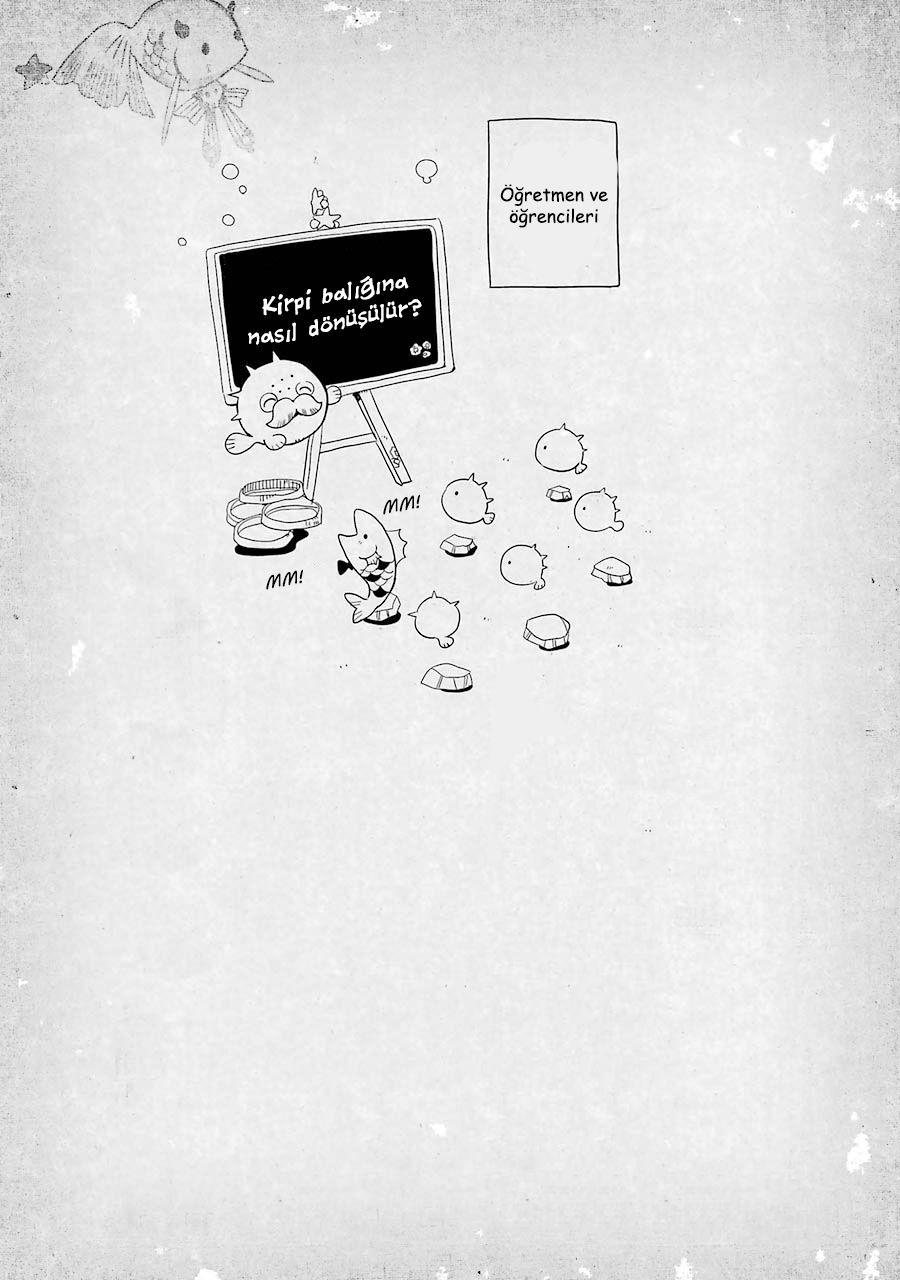 34-cm2rk5cgq0000q6obnukp4wev