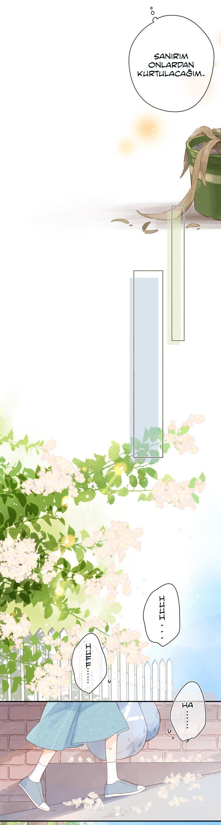11-cm2xdfr0s0001tt82570od8ls