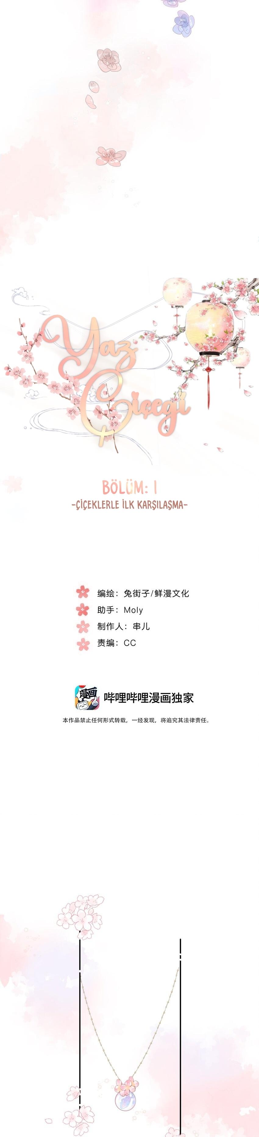 4-cm2xdfr0s0001tt82570od8ls