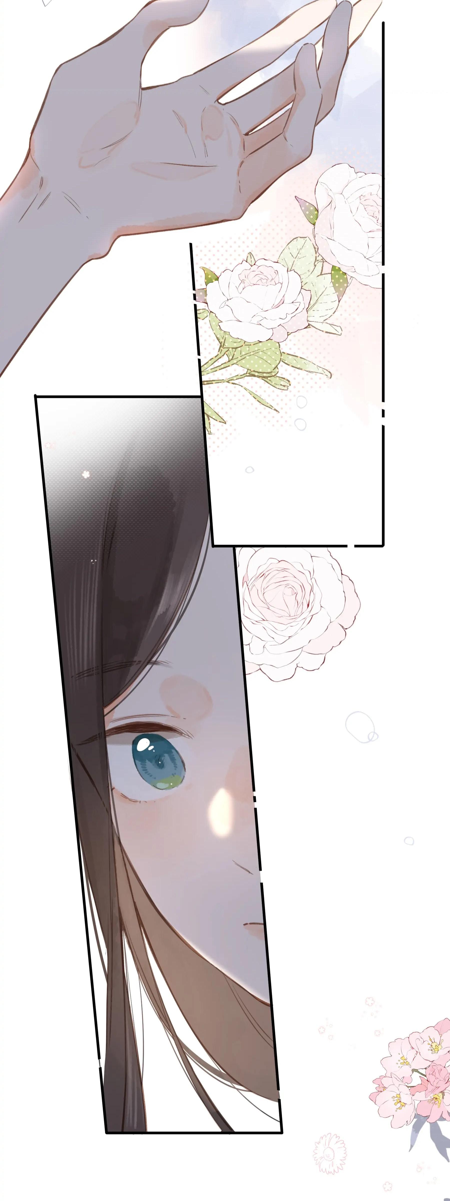 33-cm2xdfr0s0001tt82570od8ls