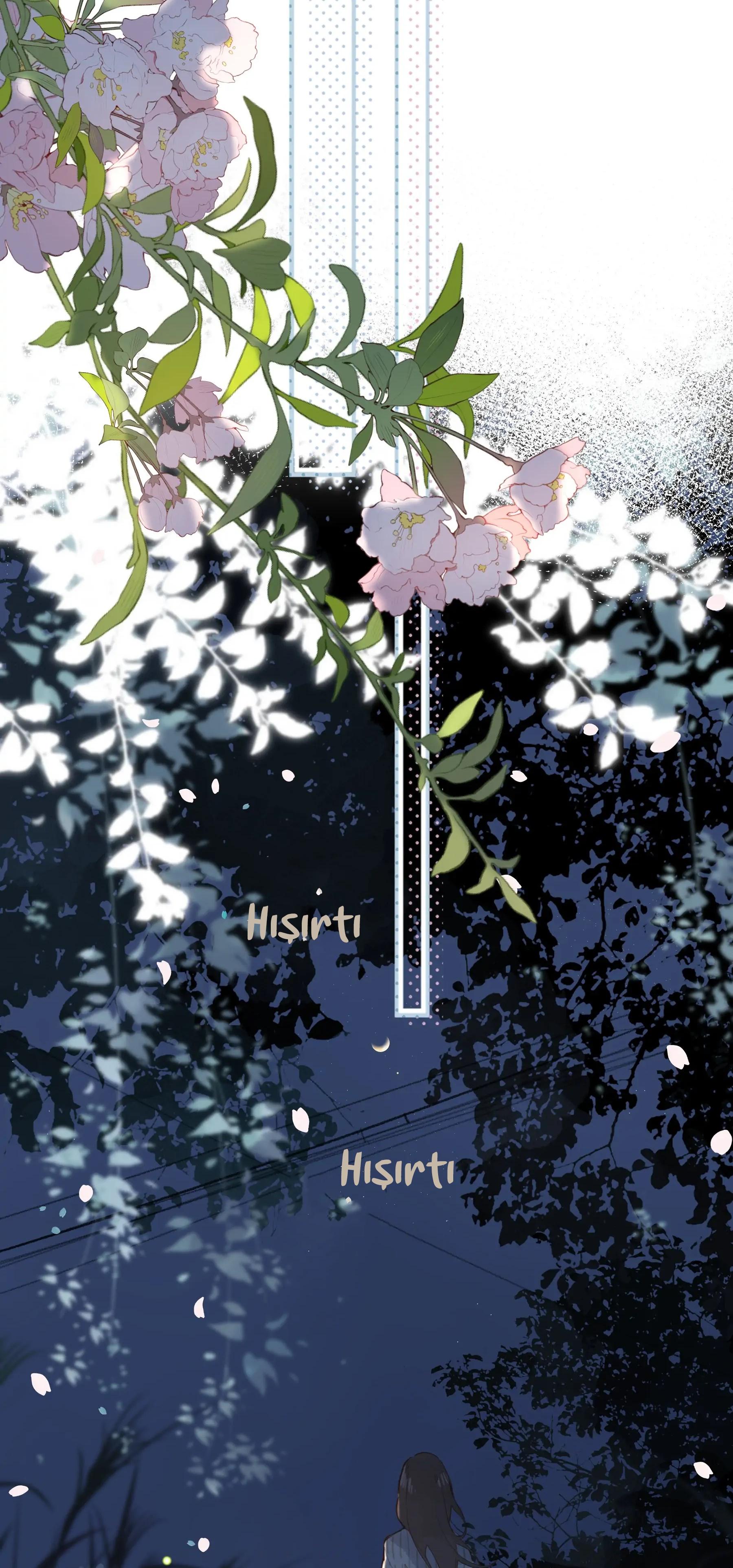 37-cm2xdfr0s0001tt82570od8ls