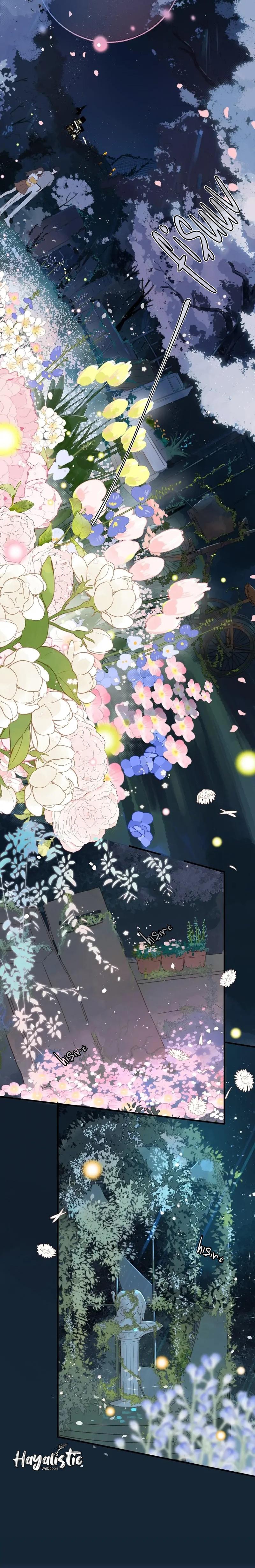 5-cm2xdfr0s0001tt82570od8ls