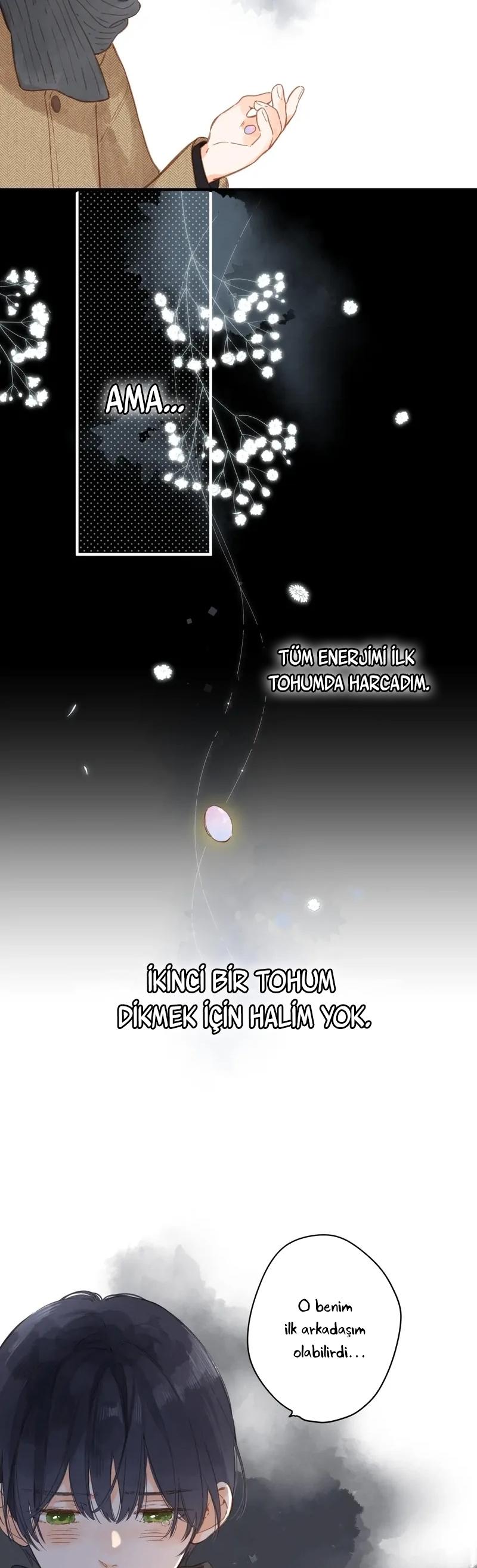 17-cm2xdfr0s0001tt82570od8ls