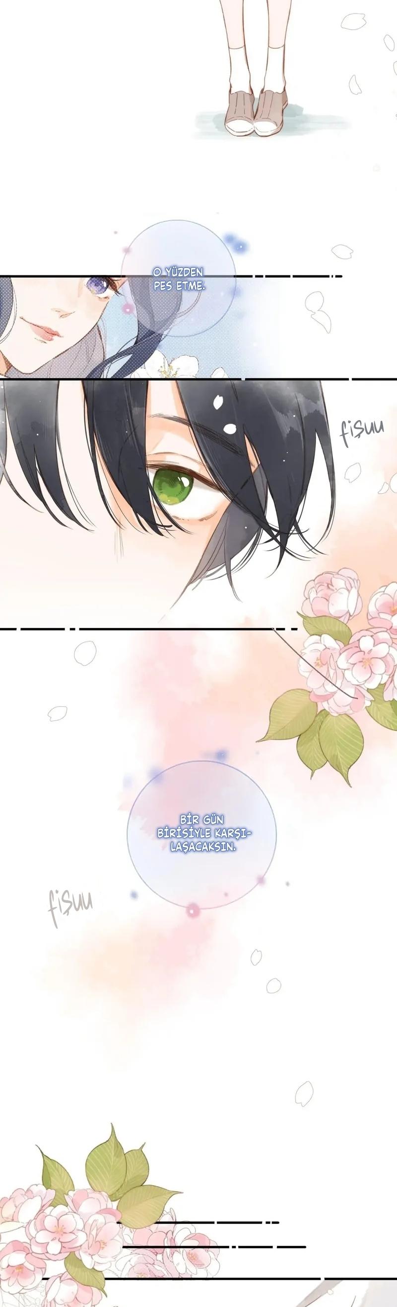 24-cm2xdfr0s0001tt82570od8ls