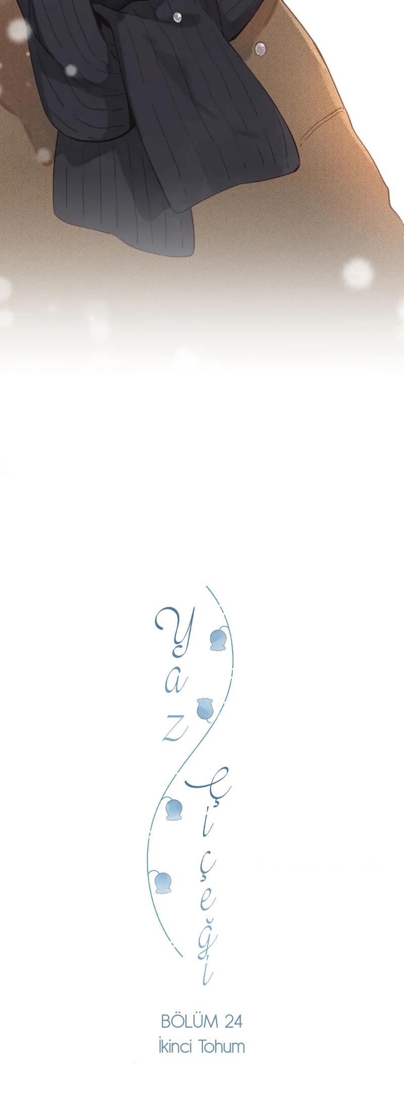 3-cm2xdfr0s0001tt82570od8ls
