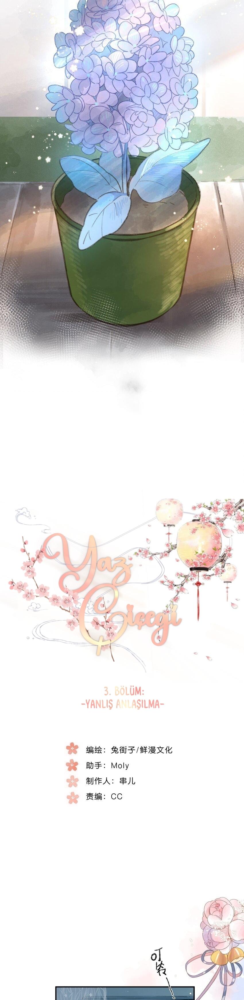 3-cm2xdfr0s0001tt82570od8ls