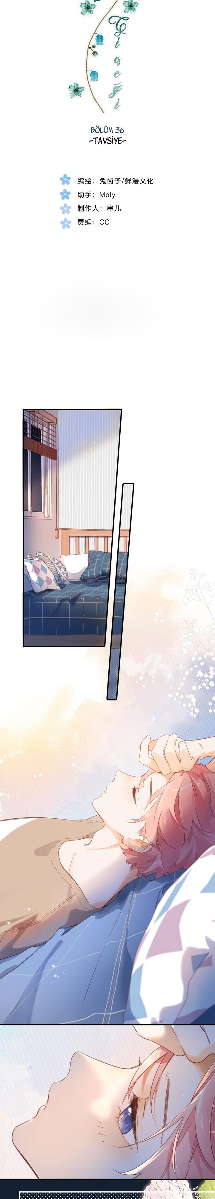 3-cm2xdfr0s0001tt82570od8ls