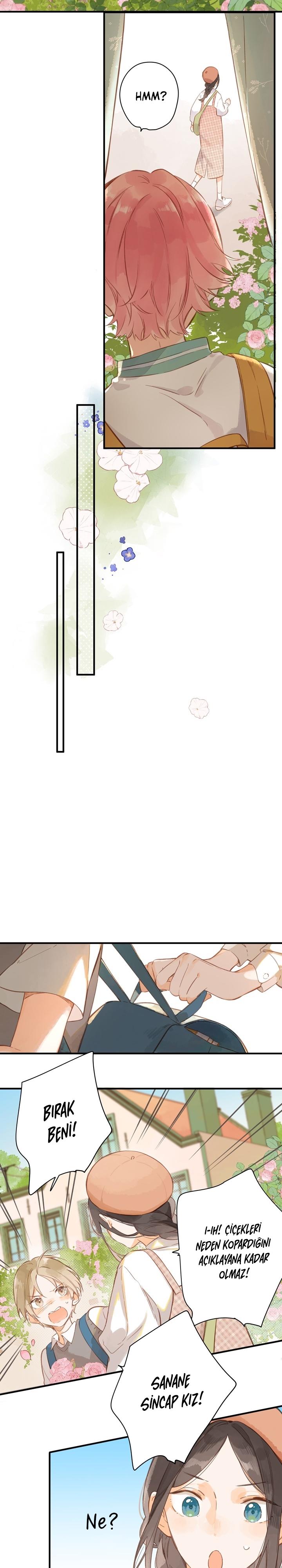 4-cm2xdfr0s0001tt82570od8ls
