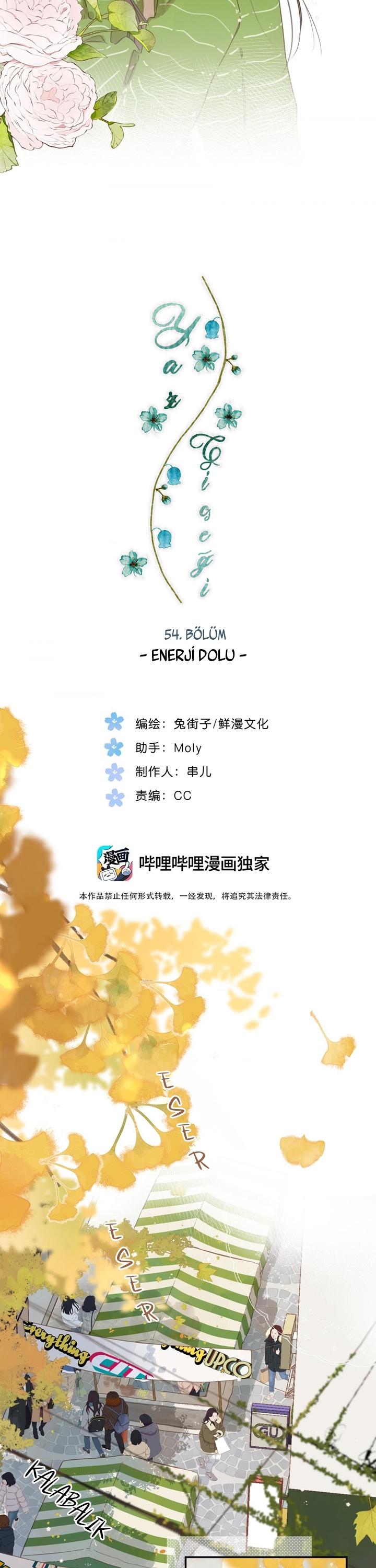 3-cm2xdfr0s0001tt82570od8ls