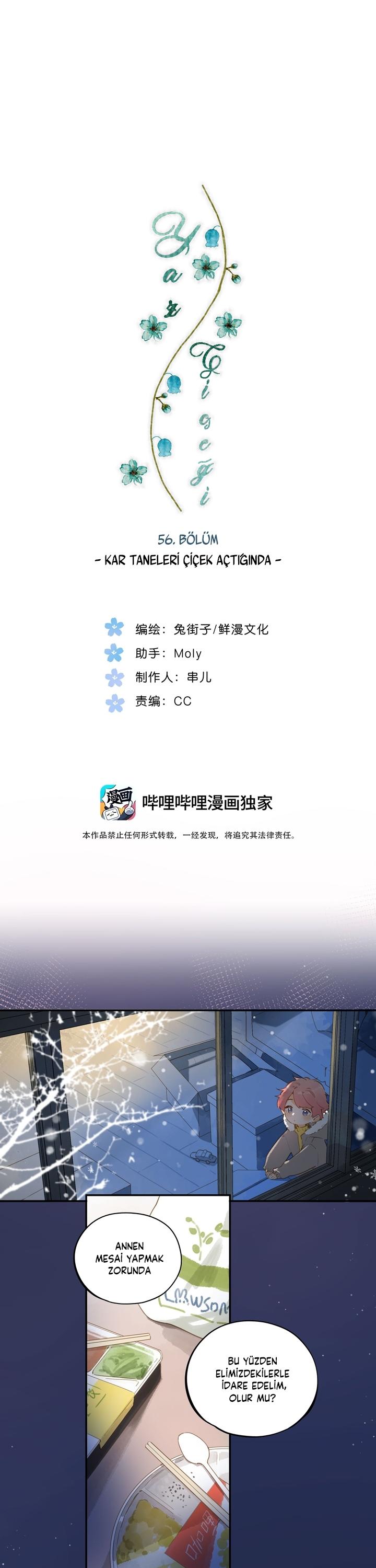2-cm2xdfr0s0001tt82570od8ls
