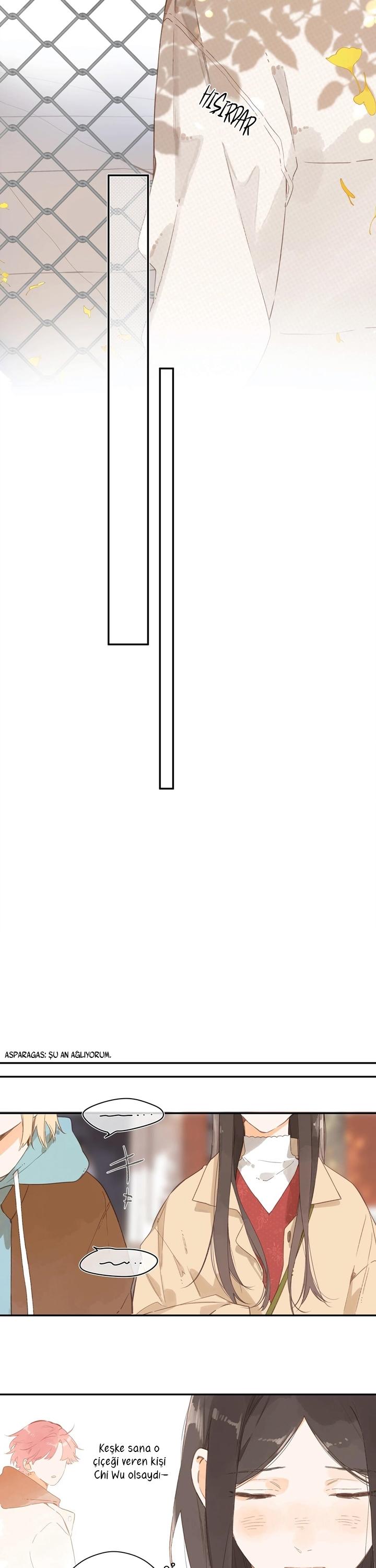 21-cm2xdfr0s0001tt82570od8ls