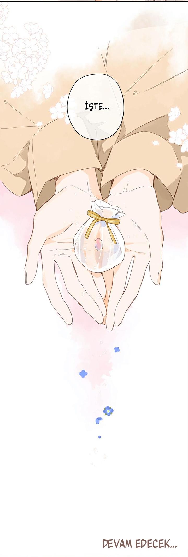 22-cm2xdfr0s0001tt82570od8ls