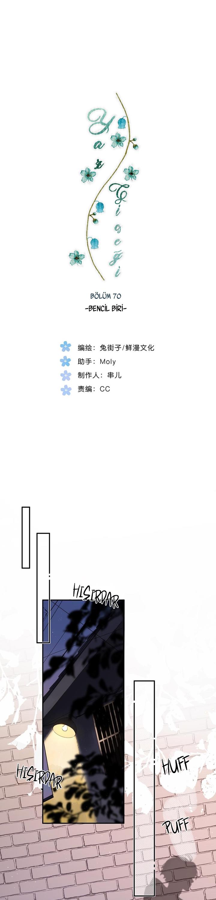 2-cmc1vvo430025phxcd4xhnki2
