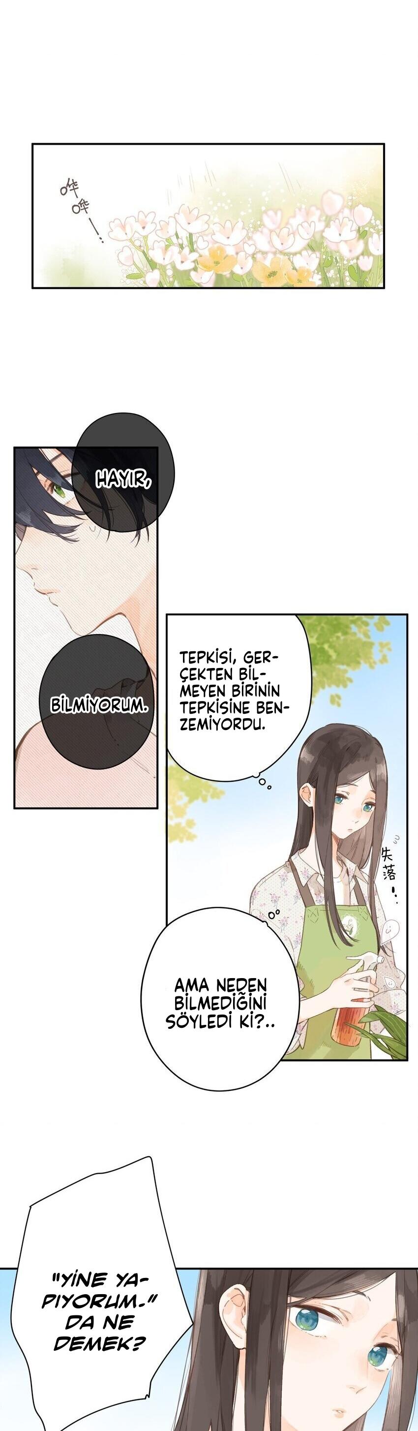 20-cm2xdfr0s0001tt82570od8ls
