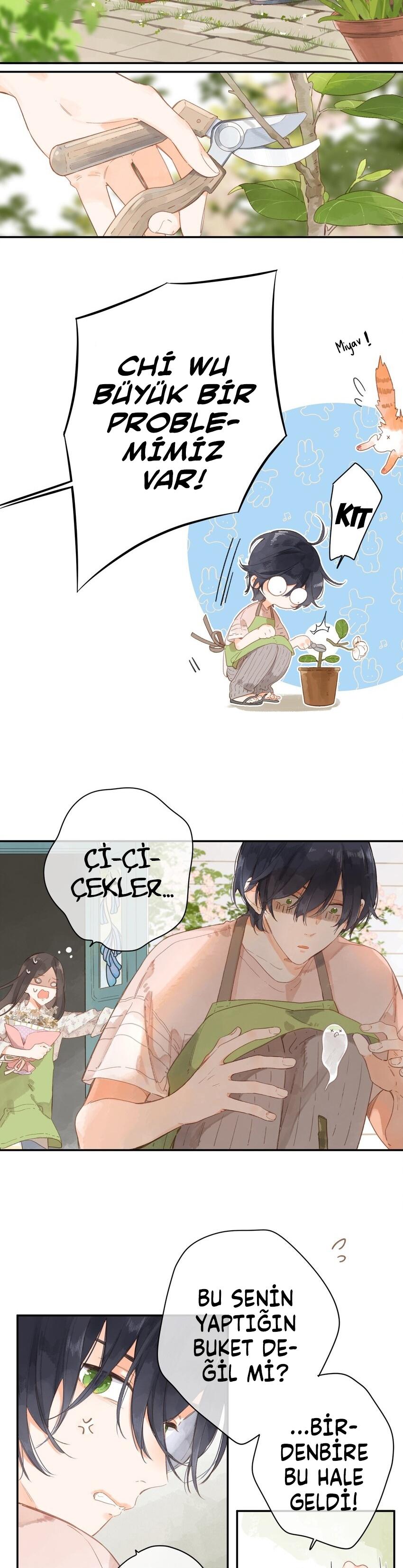 5-cm2xdfr0s0001tt82570od8ls