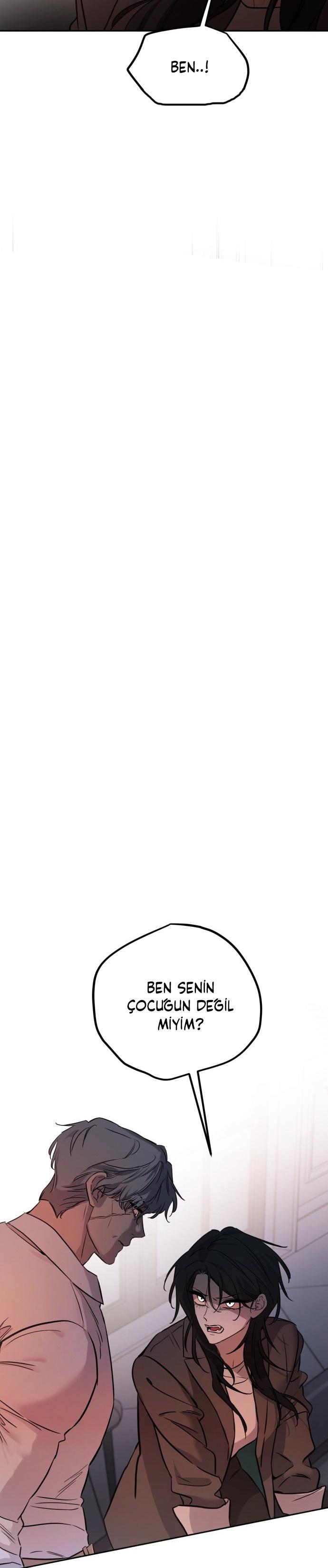 33-cm2xdfr0s0001tt82570od8ls