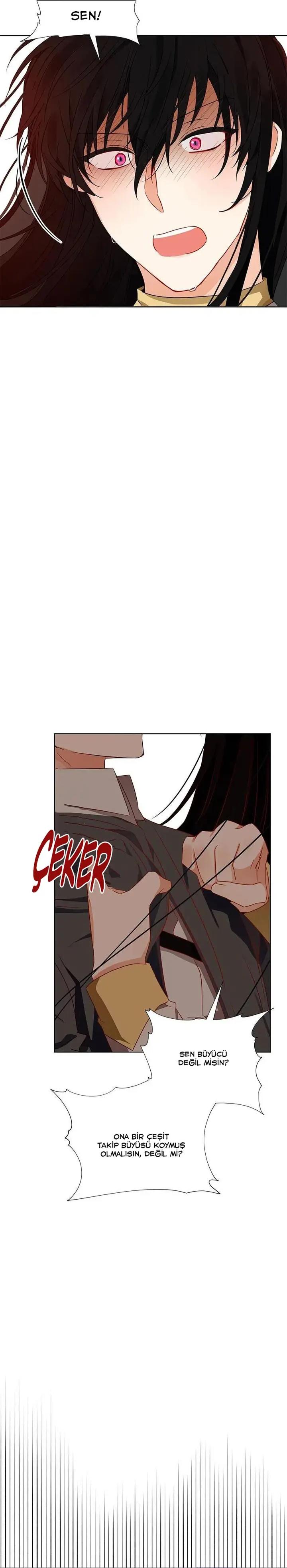 21-cmnr89xt50cr1ucwa727zlm0s