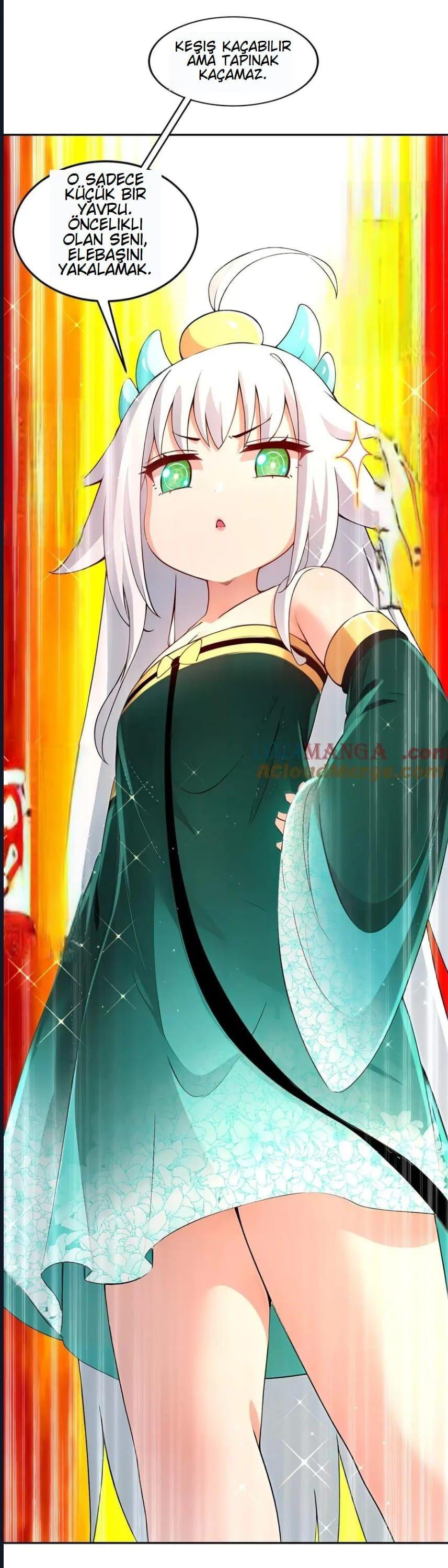 16-cmnq2268807i4ucwa0pciz3a1