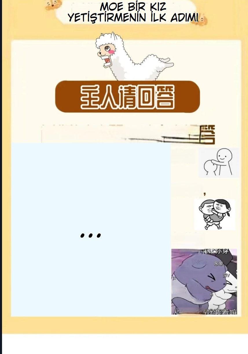 40-cmnq2268807i4ucwa0pciz3a1