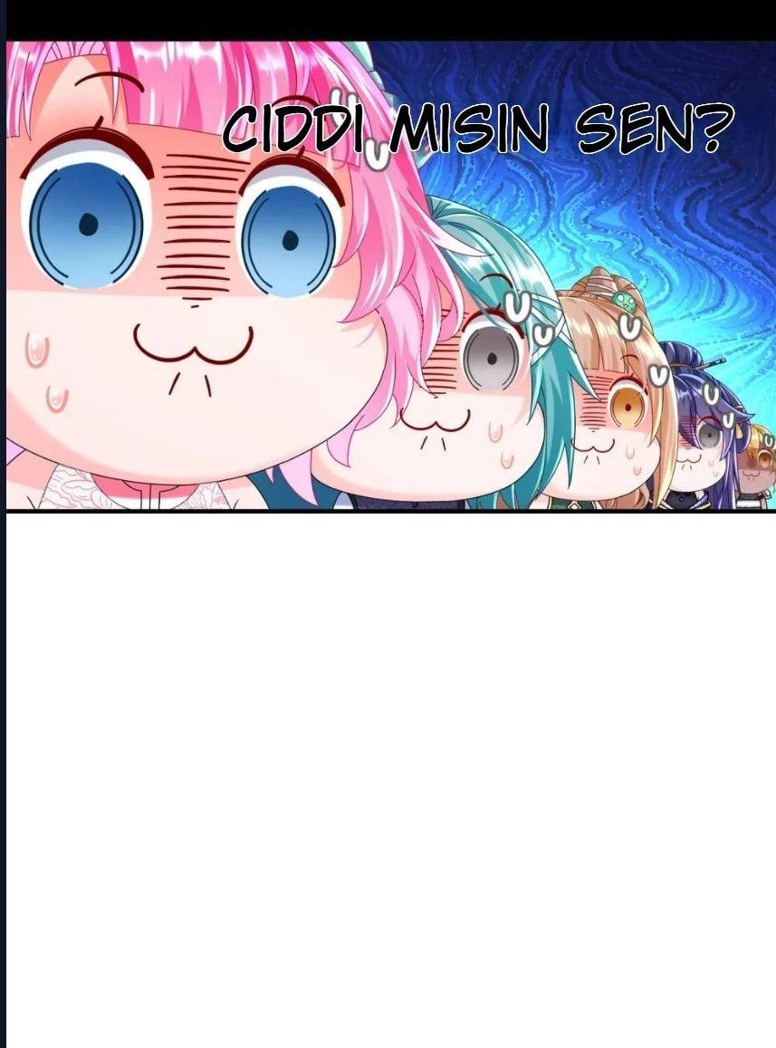 51-cmnq2268807i4ucwa0pciz3a1