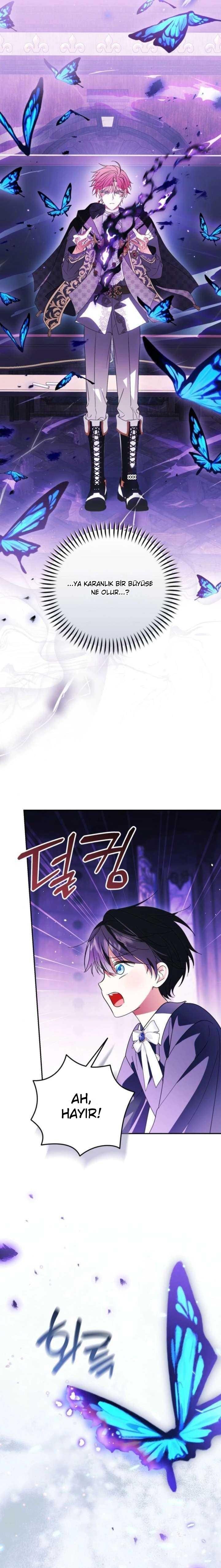13-cmnq2268807i4ucwa0pciz3a1