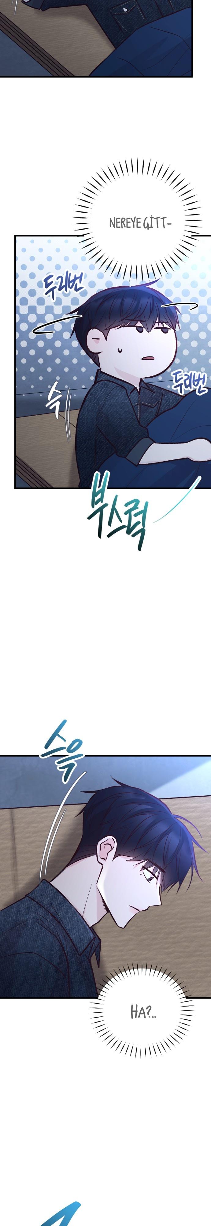 13-cm2xdfr0s0001tt82570od8ls