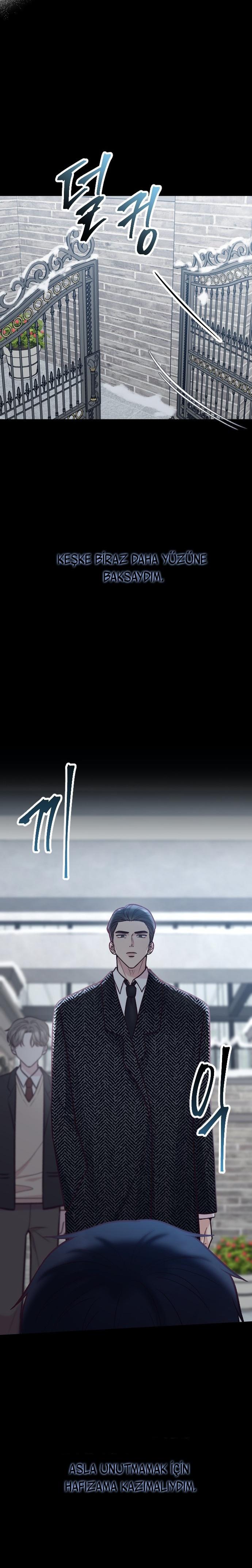5-cm2xdfr0s0001tt82570od8ls