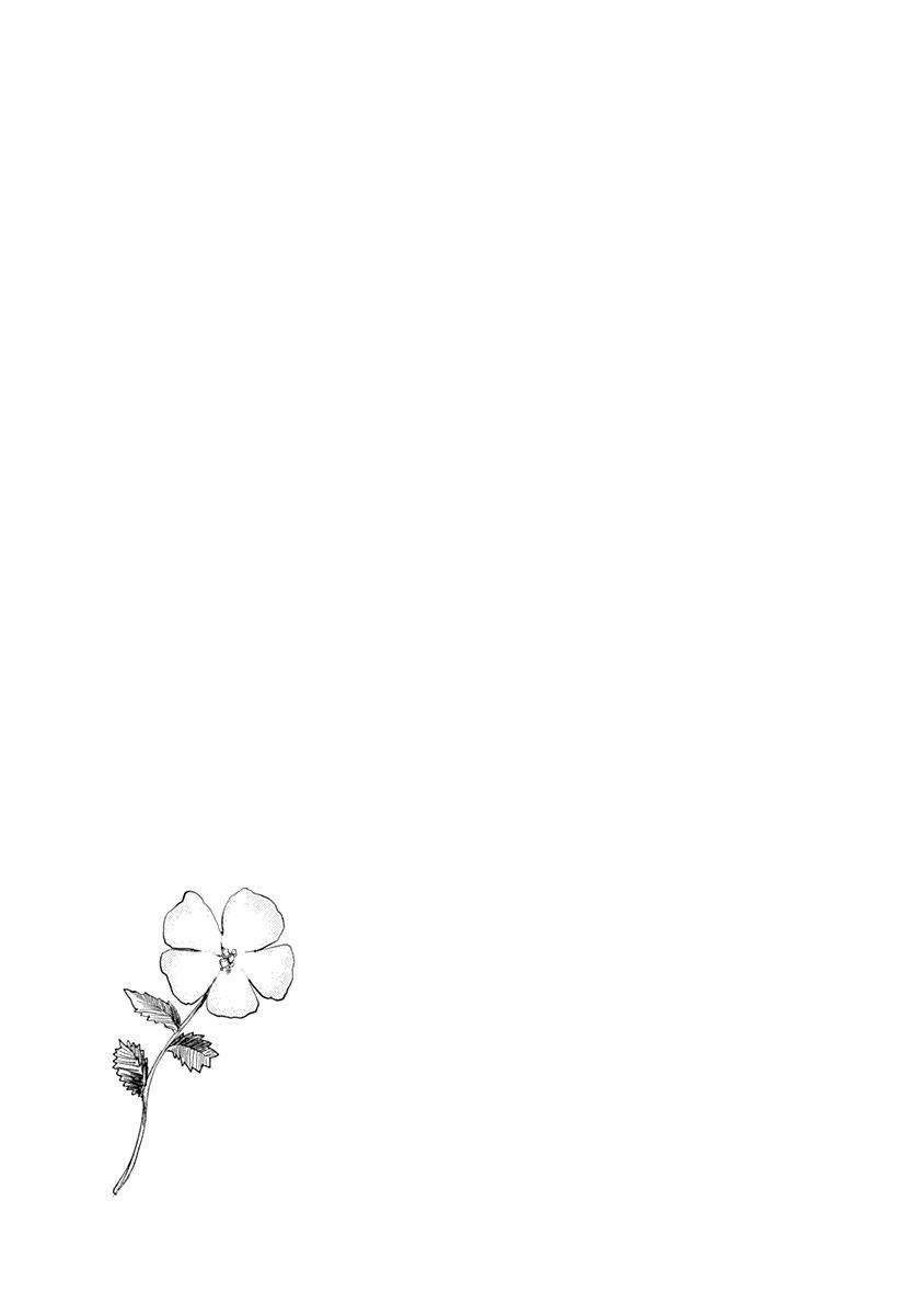 19-cm2rk5cgq0000q6obnukp4wev