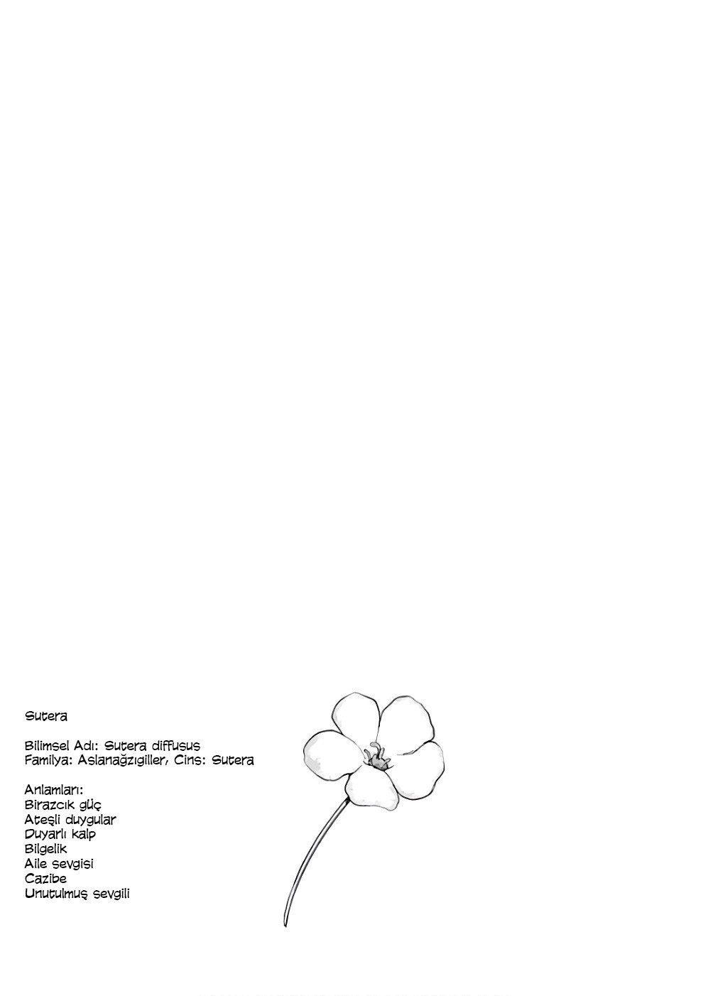 23-cm2rk5cgq0000q6obnukp4wev