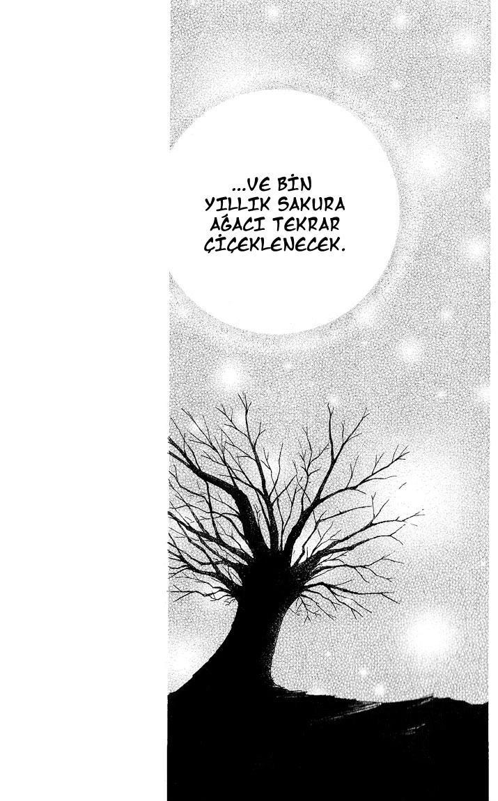 24-cm5ya3xt20000eovjogi0rsko
