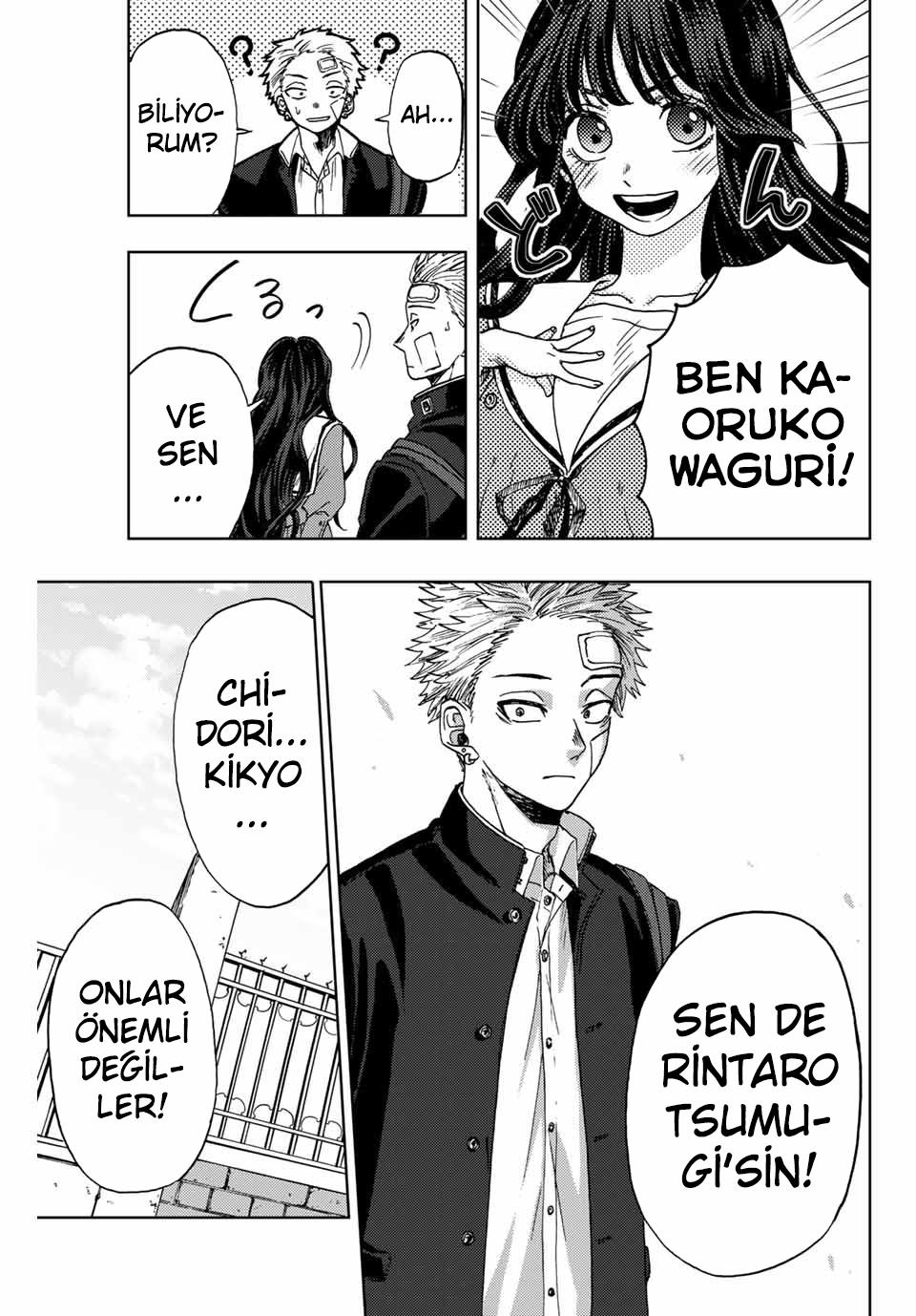50-cm2rk5cgq0000q6obnukp4wev