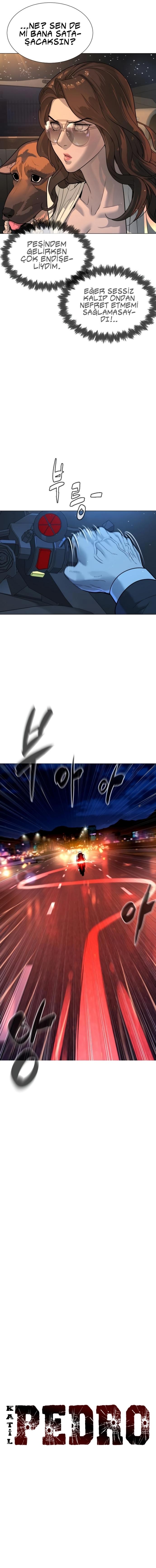 17-cm2xdfr0s0001tt82570od8ls