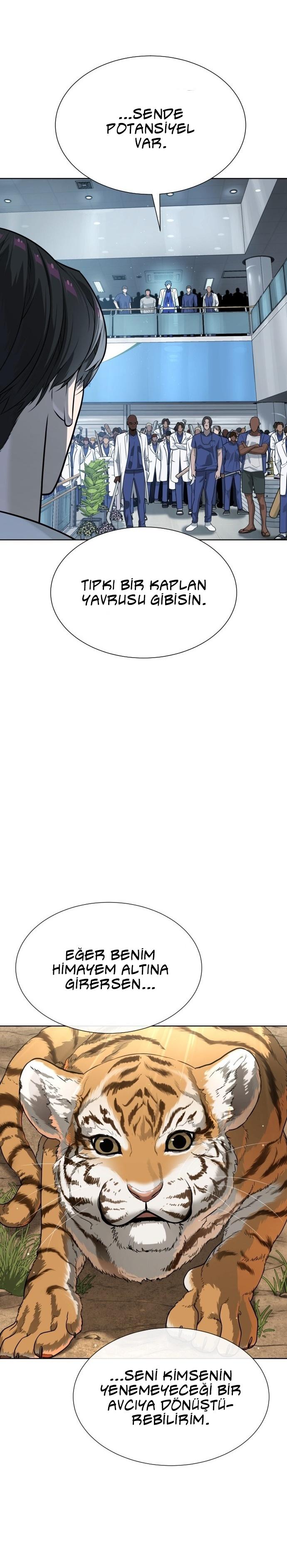 50-cm2xdfr0s0001tt82570od8ls